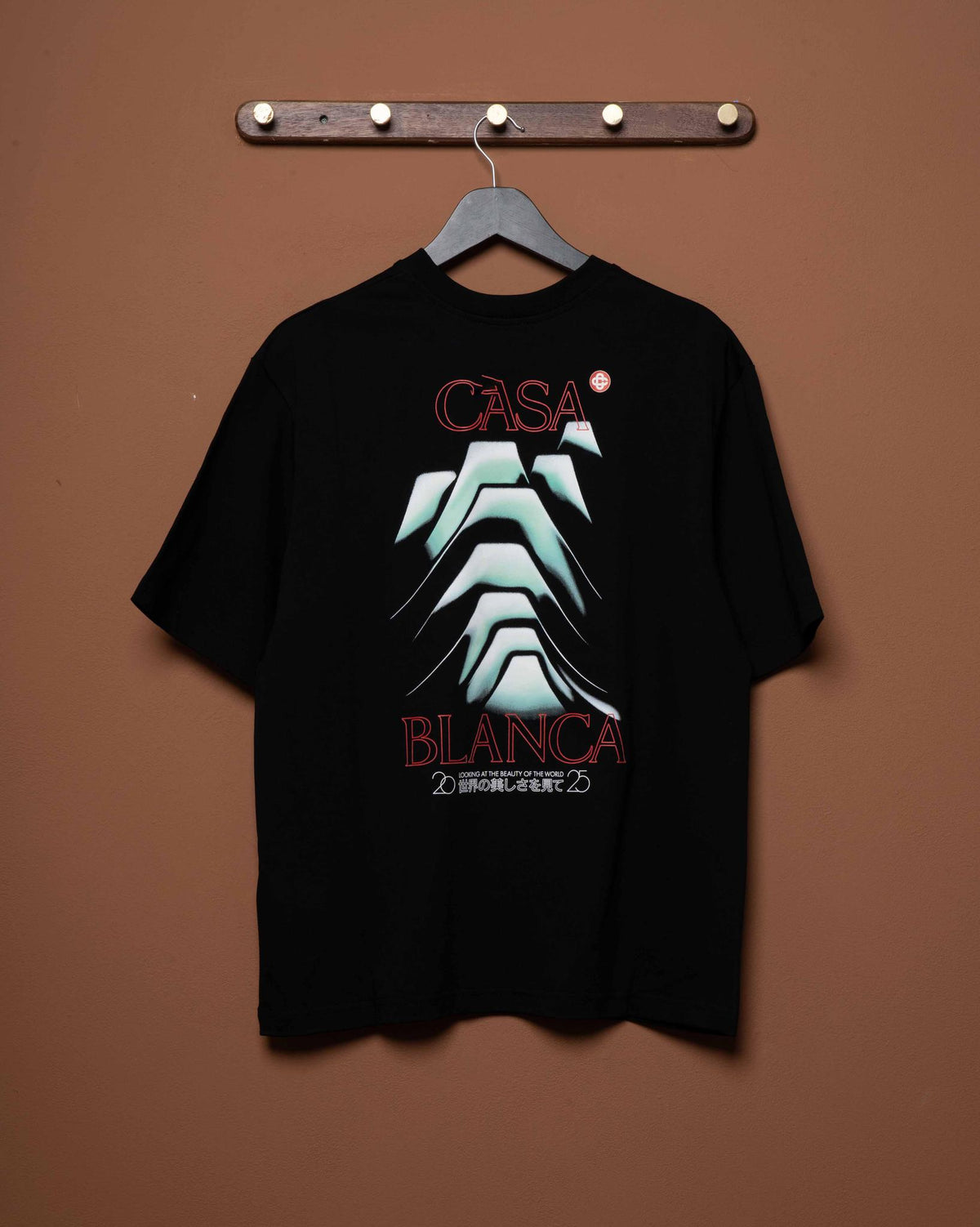 FROSTY MOUNTAIN SCREEN PRINTED OVERSIZED T-SHIRT
